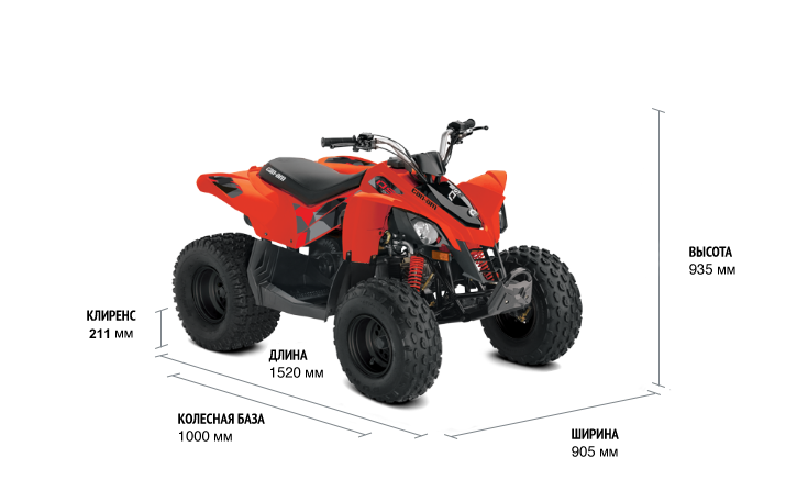 Can-Am DS 90 2021