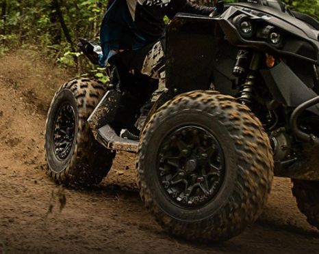 CAN-AM RENEGADE X XC 650 T